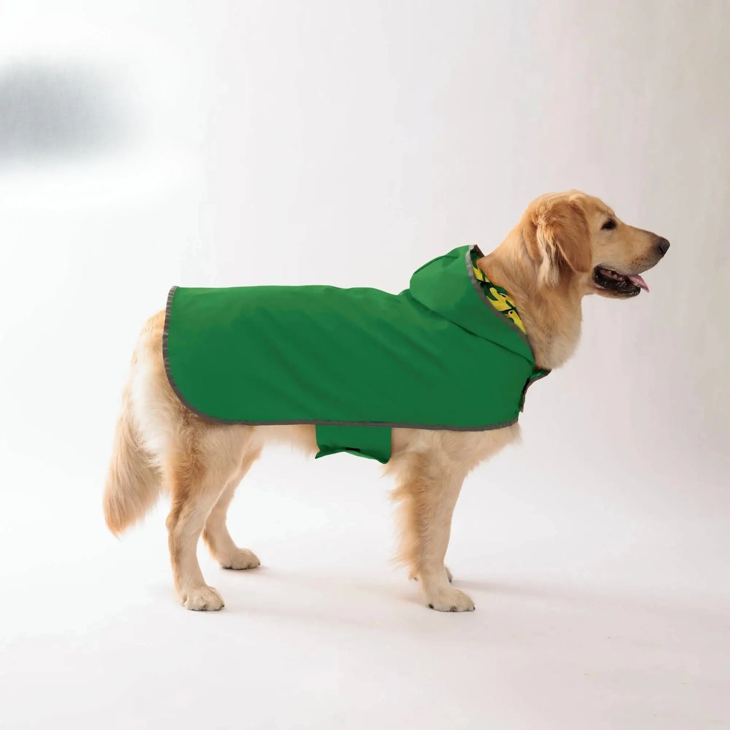 Keep Your Pup Dry & Stylish: Double-Layer Bright Colors-  Raincoat With Two-Way Wear!