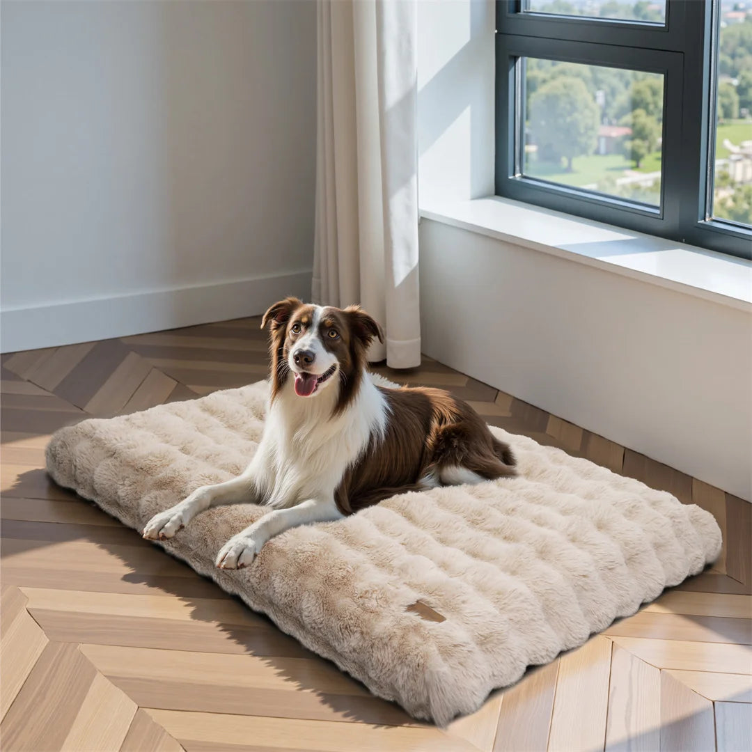 Ultra-Soft Dog Bed with Removable Cover, Machine Washable, Cozy Calming Pet Cushion