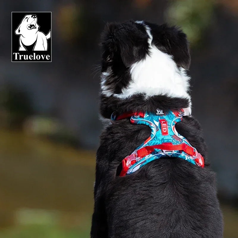 Colorful and Camouflage Reflective Dog Harness for Comfortable Walks with your Pet