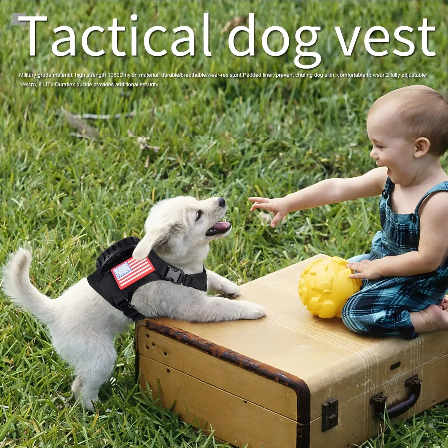 Tactical Puppy Harness Leash Set For Small Dogs and Kitties,  Adjustable Harness Vest For Training when Walking