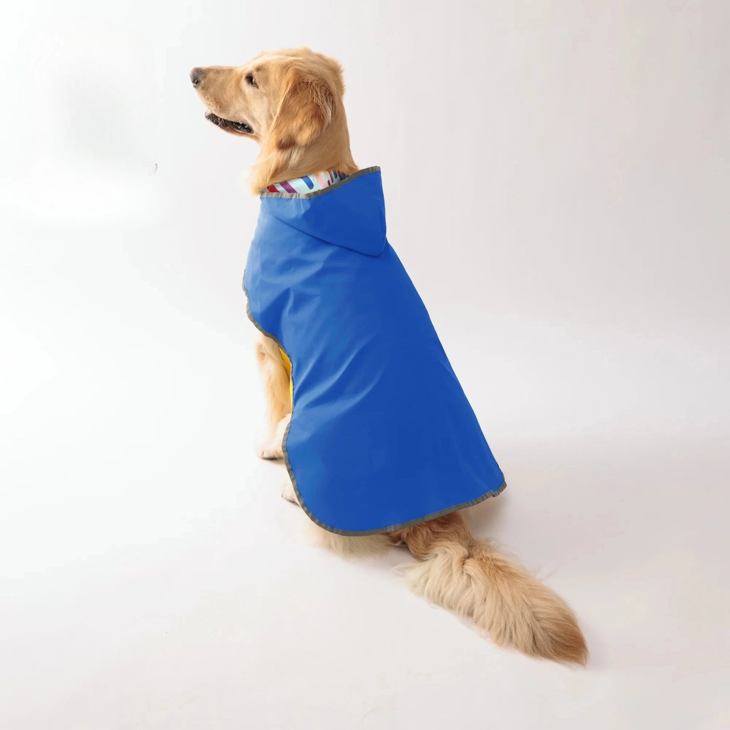 Keep Your Pup Dry & Stylish: Double-Layer Bright Colors-  Raincoat With Two-Way Wear!