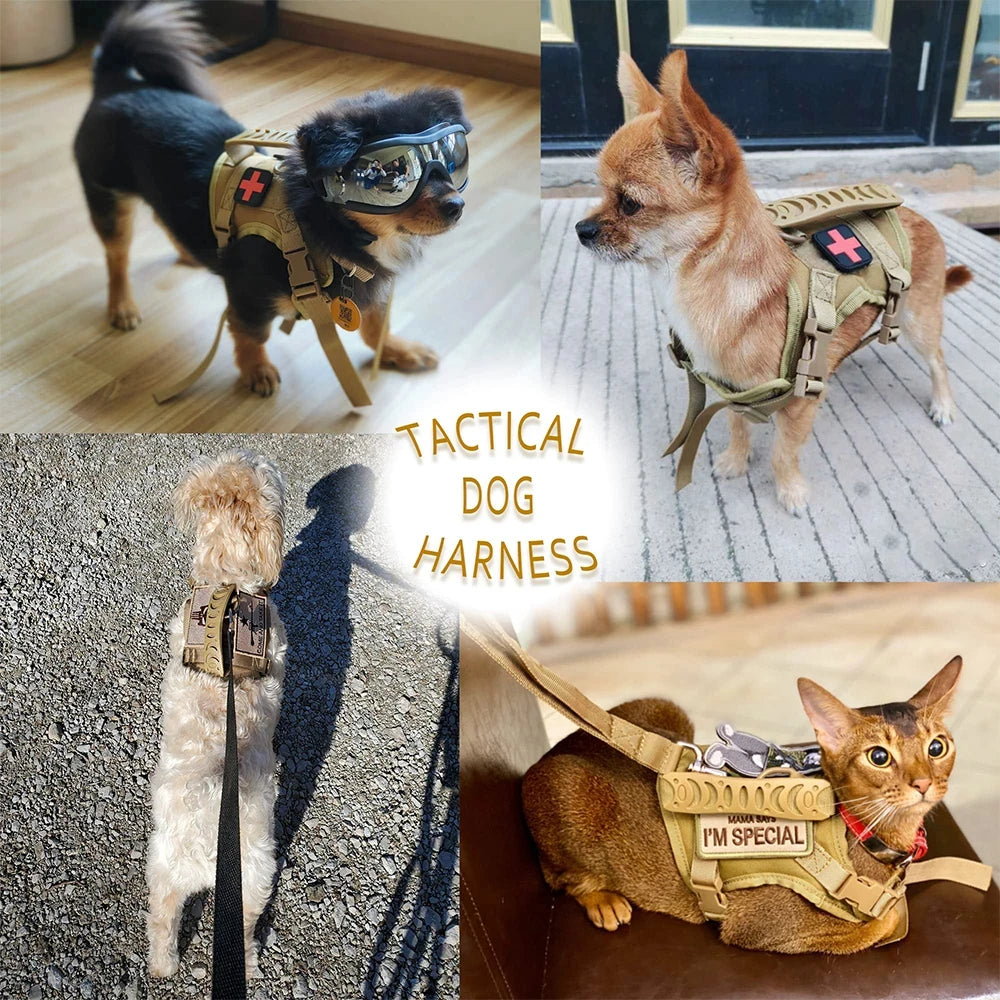 Tactical Puppy Harness Leash Set For Small Dogs and Kitties,  Adjustable Harness Vest For Training when Walking