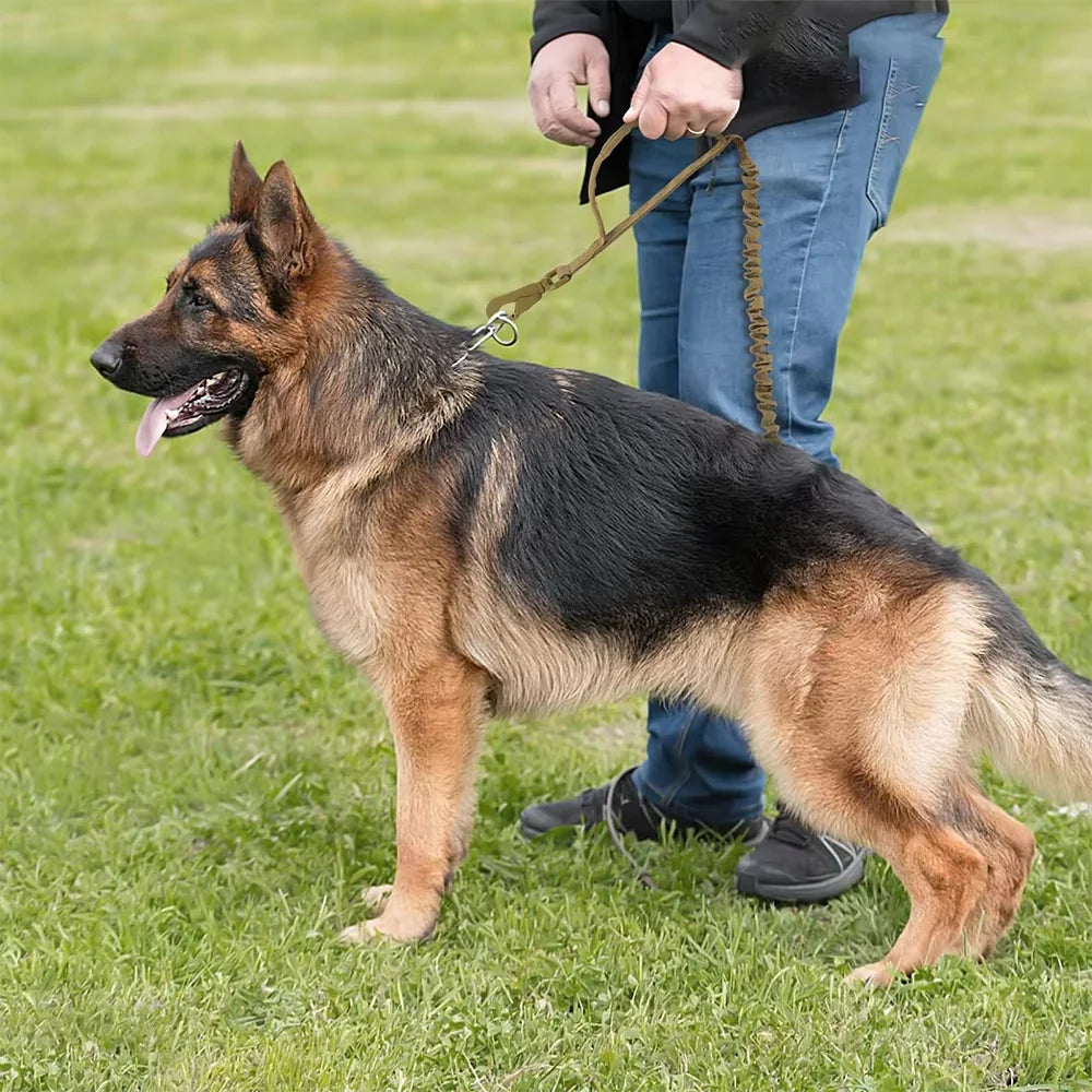 Retractable Dog Leash With Adjustable Elastic Rope And Dual Handles