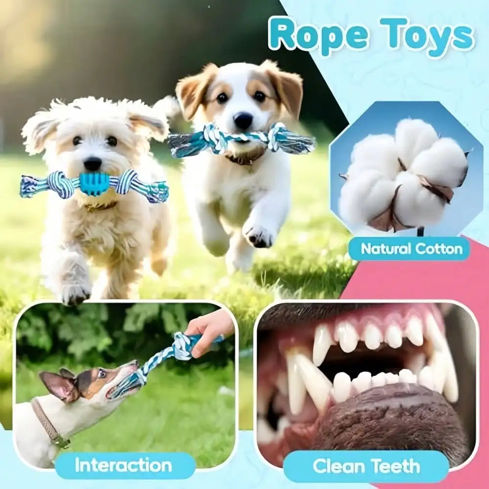 Dog Toy Set Four Or Eightpcs Premium Chew Rope Ball