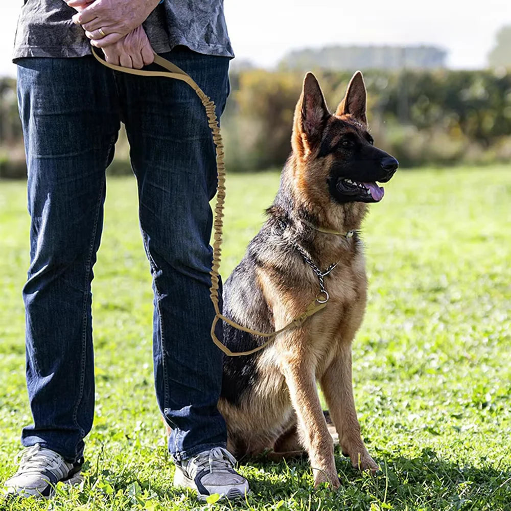 Retractable Dog Leash With Adjustable Elastic Rope And Dual Handles