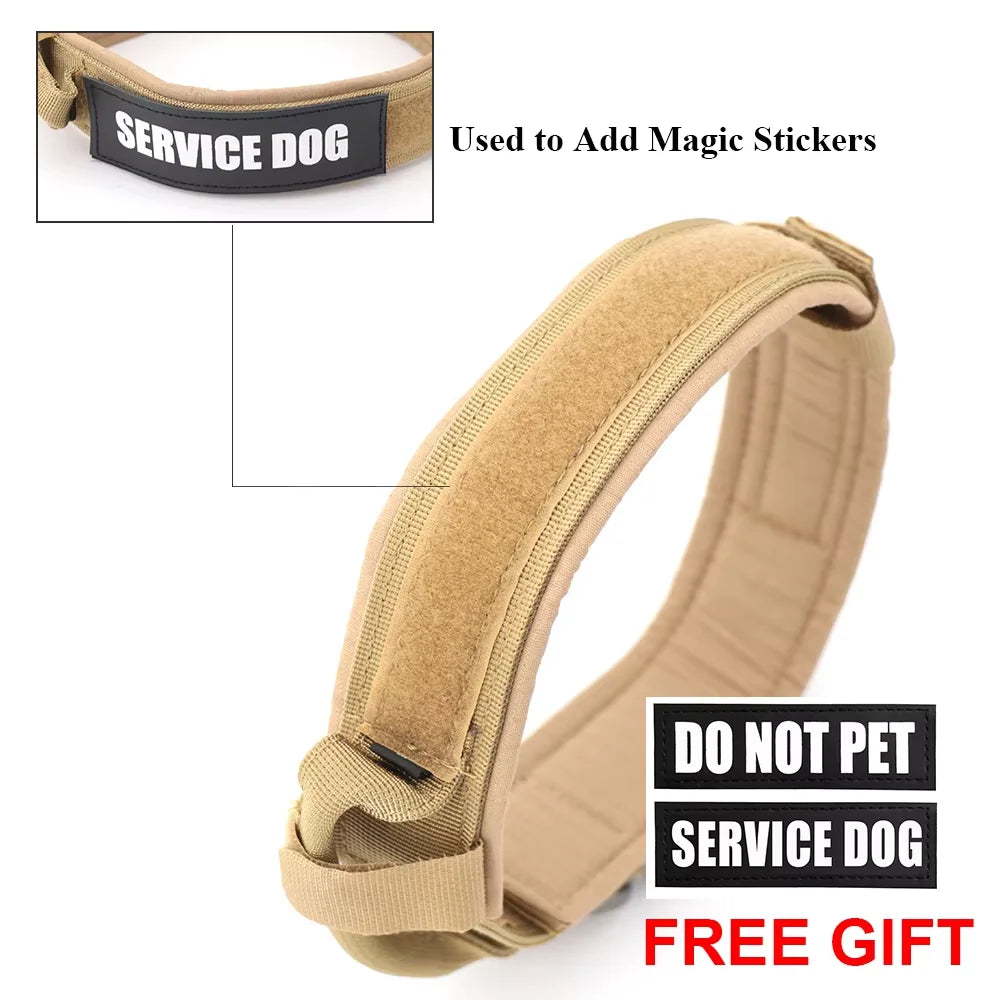 Nylon Dog Training Collar And Leash Set Adjustable For Dogs