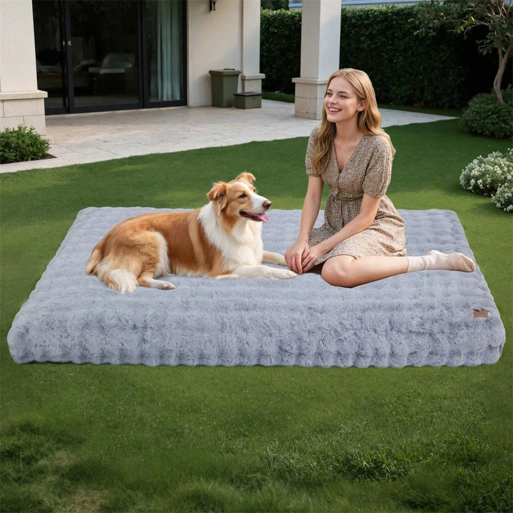 Ultra-Soft Dog Bed with Removable Cover, Machine Washable, Cozy Calming Pet Cushion