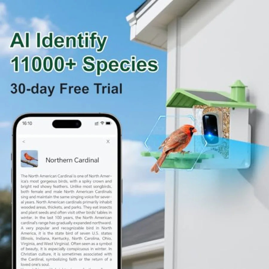 Smart Bird Feeder With Camera Identifies Bird Species. Live HD Video with Solar Power