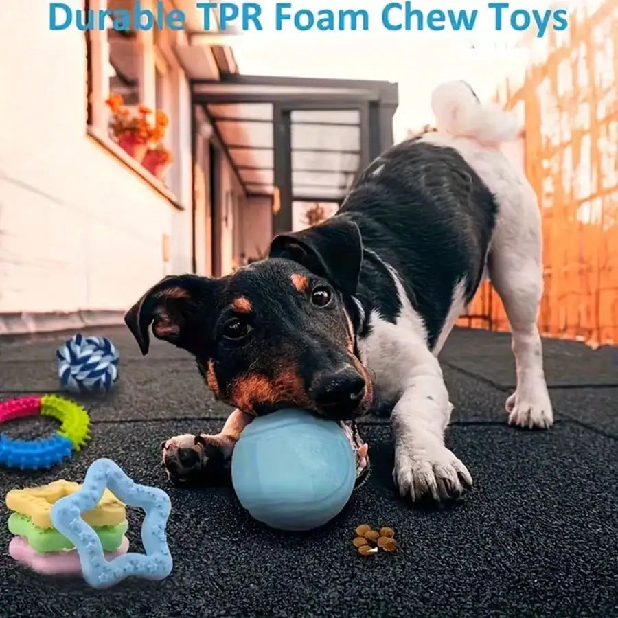 Dog Toy Set Four Or Eightpcs Premium Chew Rope Ball