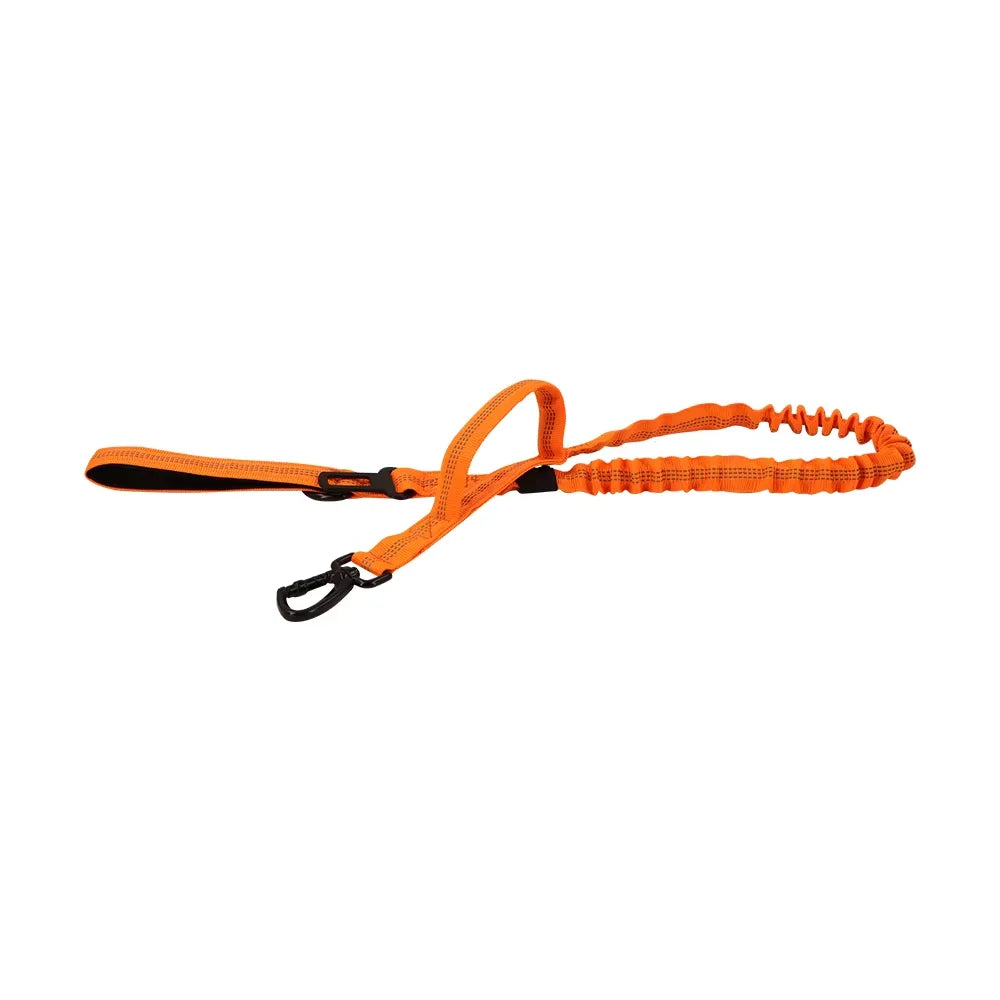 Retractable Dog Leash With Adjustable Elastic Rope And Dual Handles