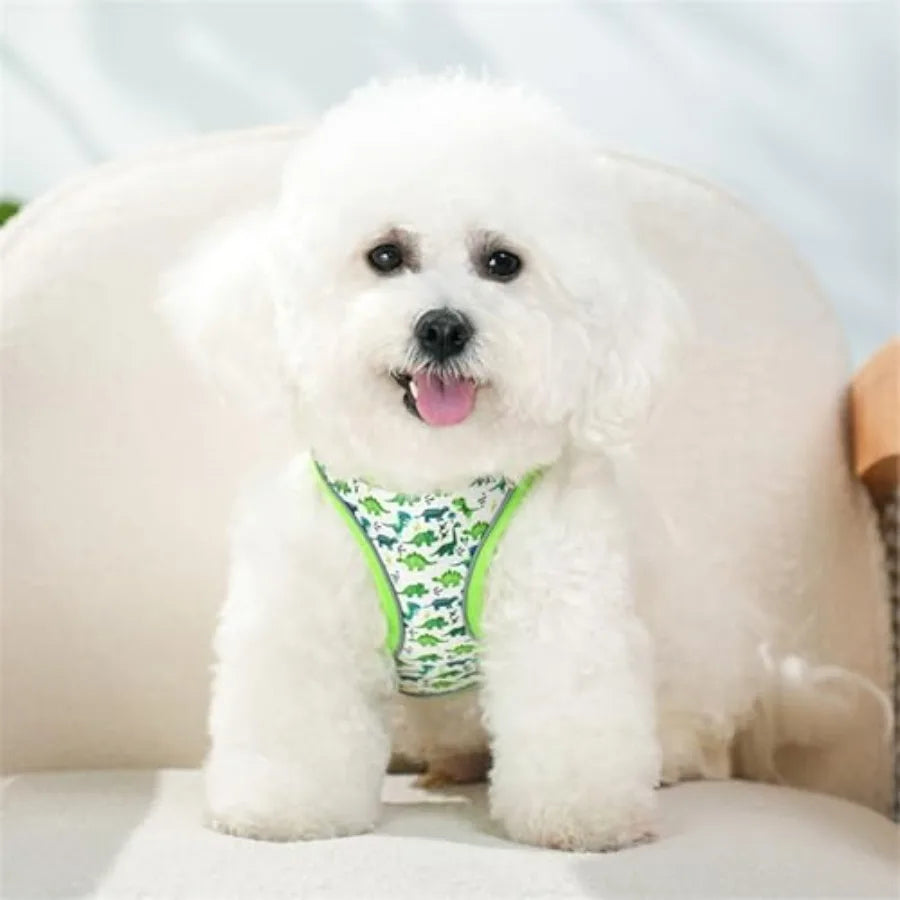 Step-In Dog Harness for No-Pull walks with cute Dinosaur Print and Leash